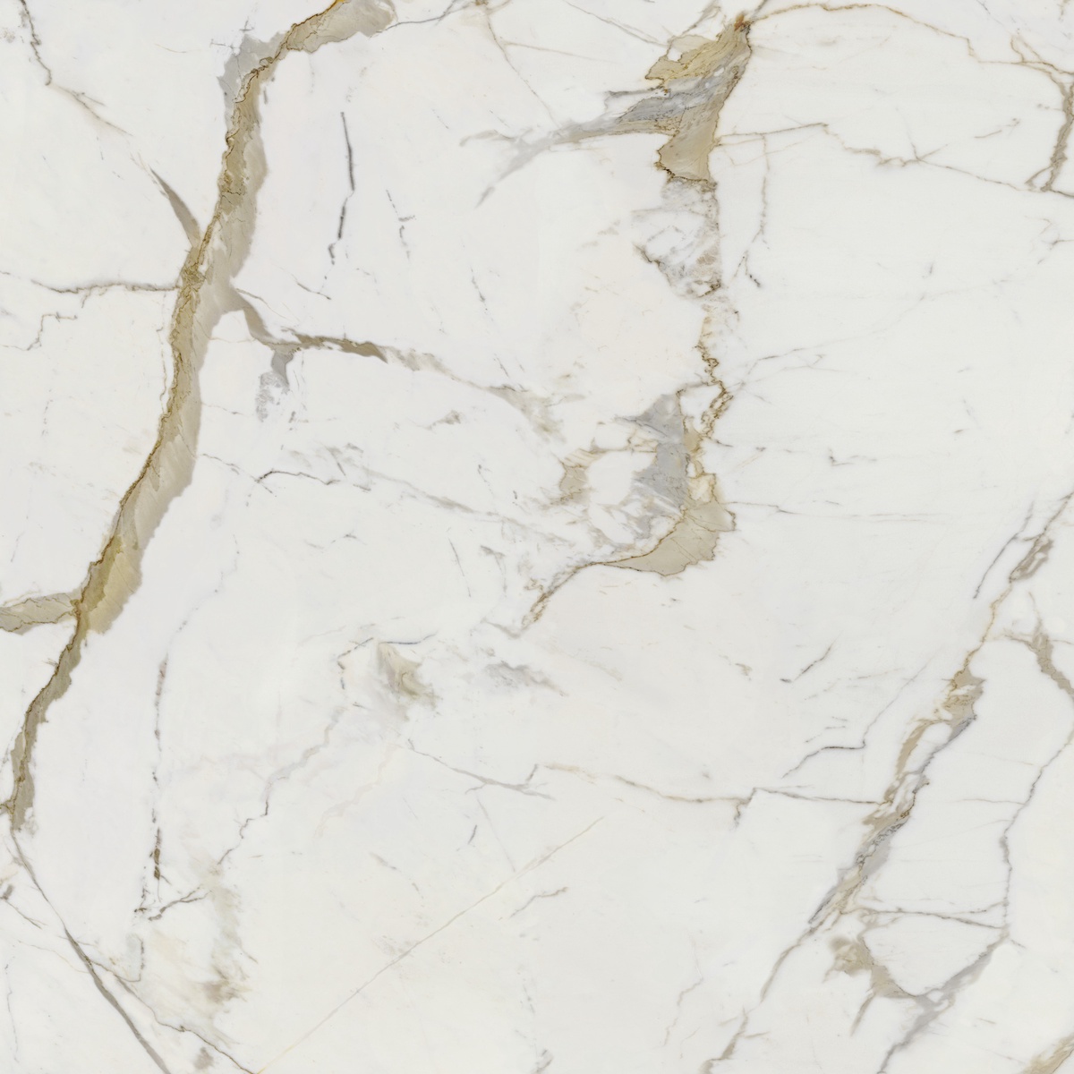 Vision Calacatta Oro 120x120 Dado Ceramica