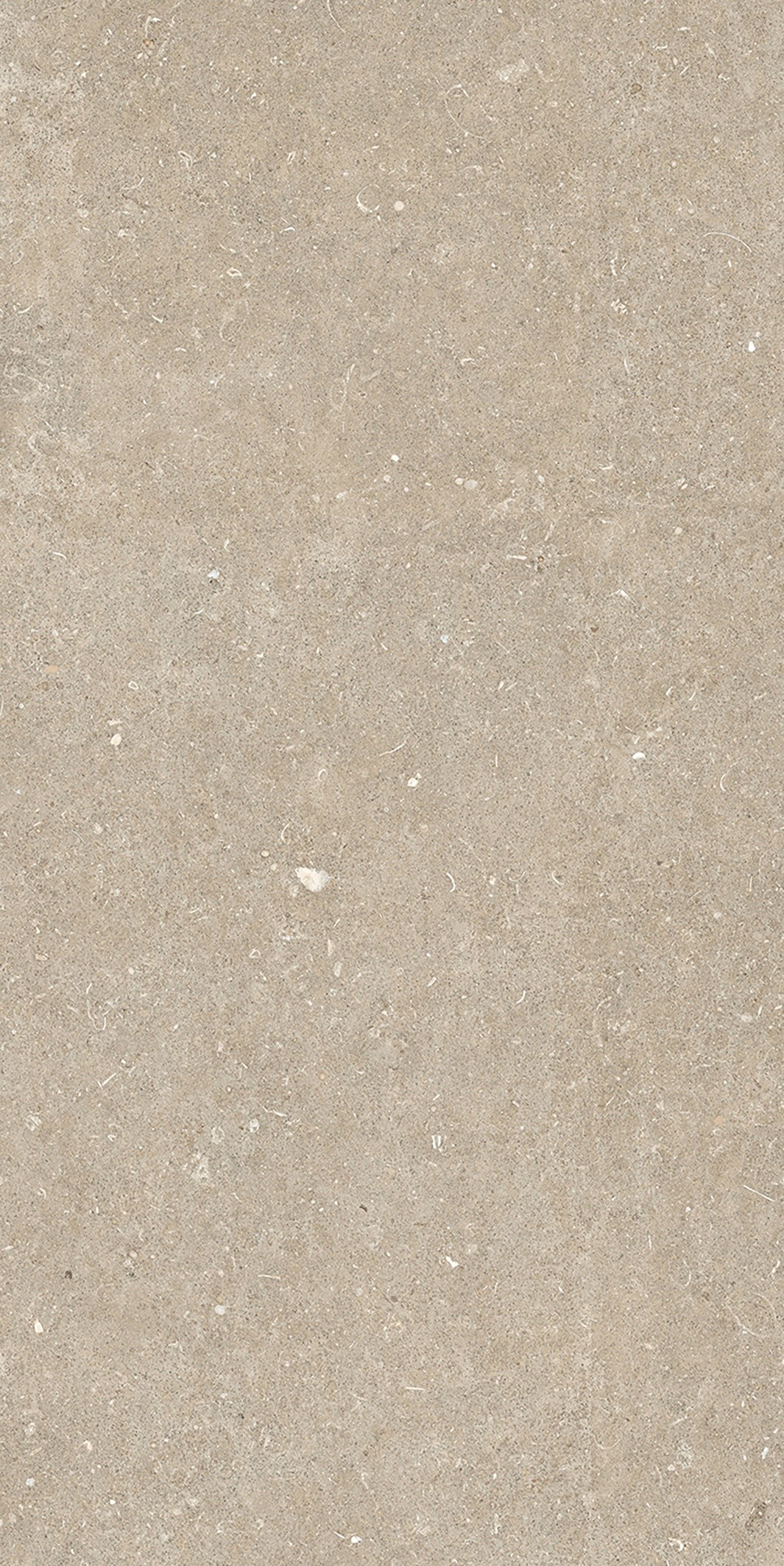 785575 Rinascenza Arena Conchiglia Matte 6mm 60x120 Casa Dolce Casa фото 4