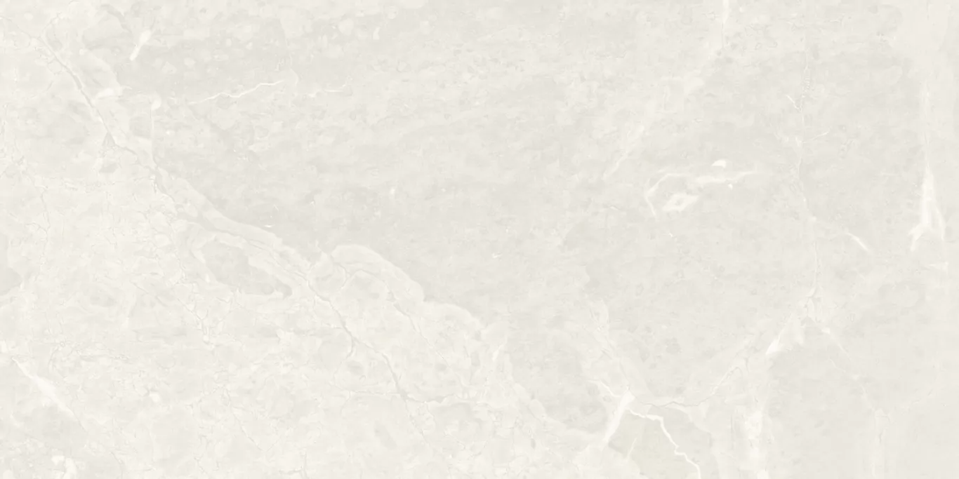 Soleste Bianco Rustic Carving 60x120 Colortile фото 4
