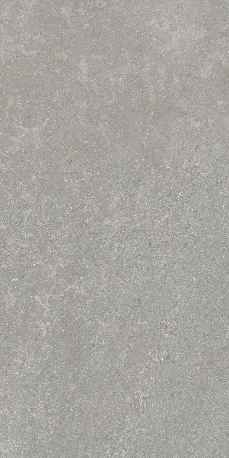 K948634R0001VTER SandStone Серый Матовый R10A Ректификат 60х120 Vitra