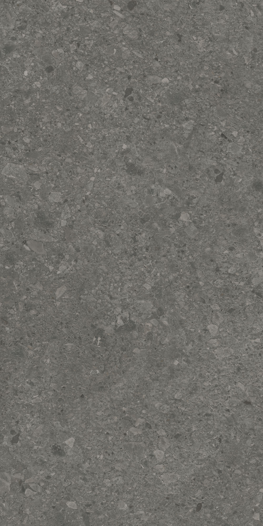 DD591600R Чеппо ди Гре антрацит матовый обрезной 119,5x238,5x1,1 Kerama Marazzi