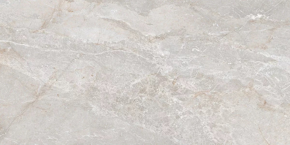 Stonico Oyster Grey Glossy 60x120 Art Ceramic