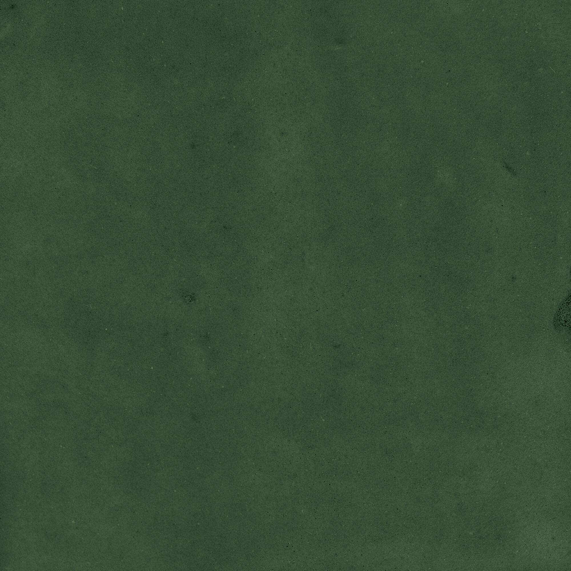 43289 Samira Green 10x10 Harmony фото 45