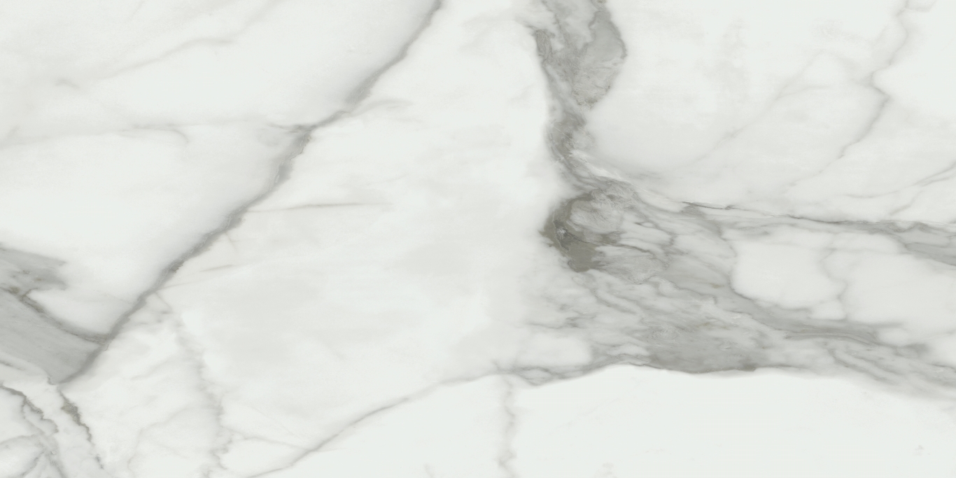 Invictus Natural Rectificado 60x120 Baldocer