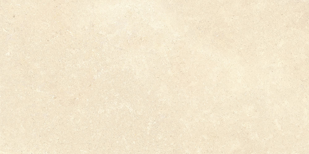 SandStone Песочный Матовый R10A Ректификат 9мм 60х120 Vitra
