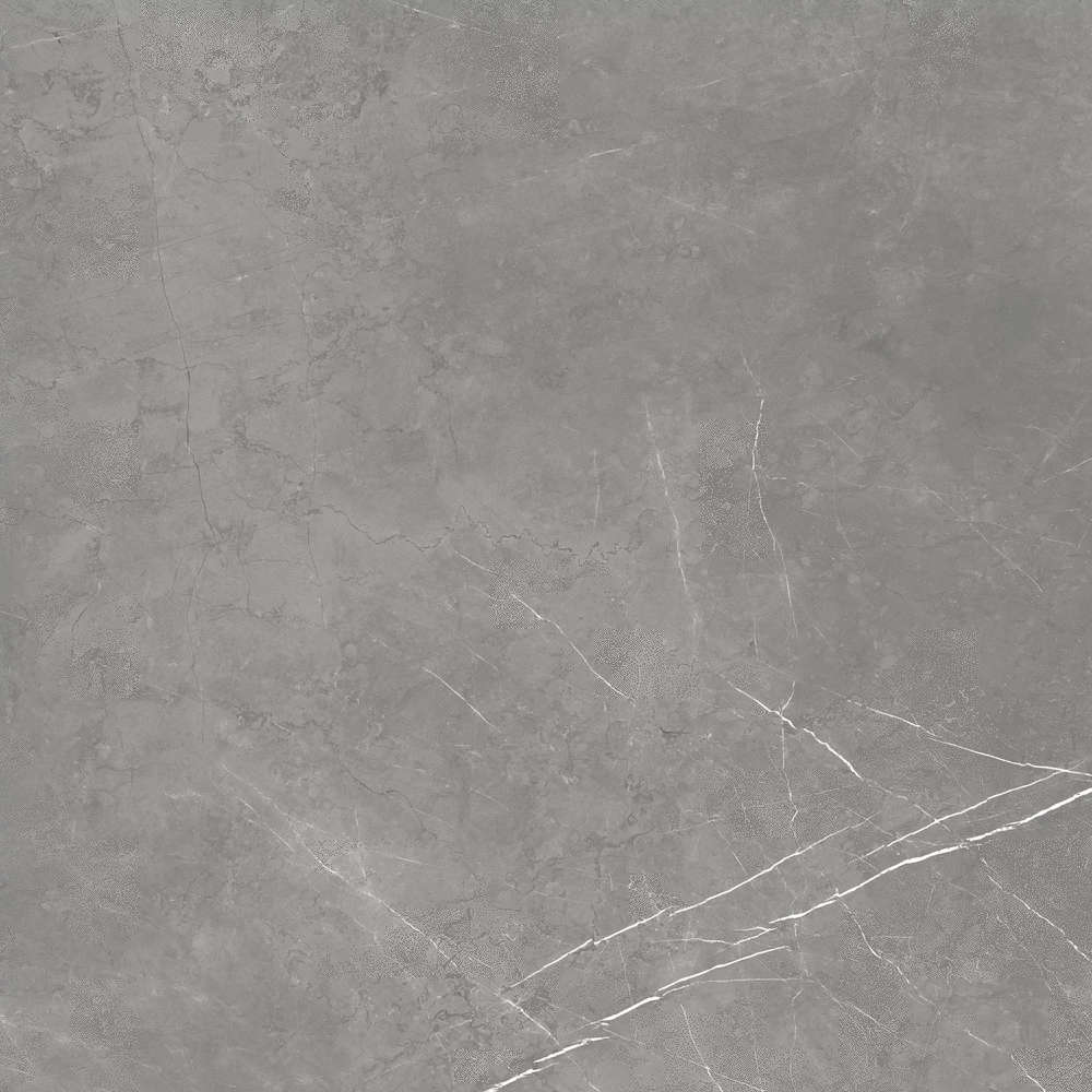 610010002724 Elegant Grey Lastra 20mm 60x60 Atlas Concorde Russia
