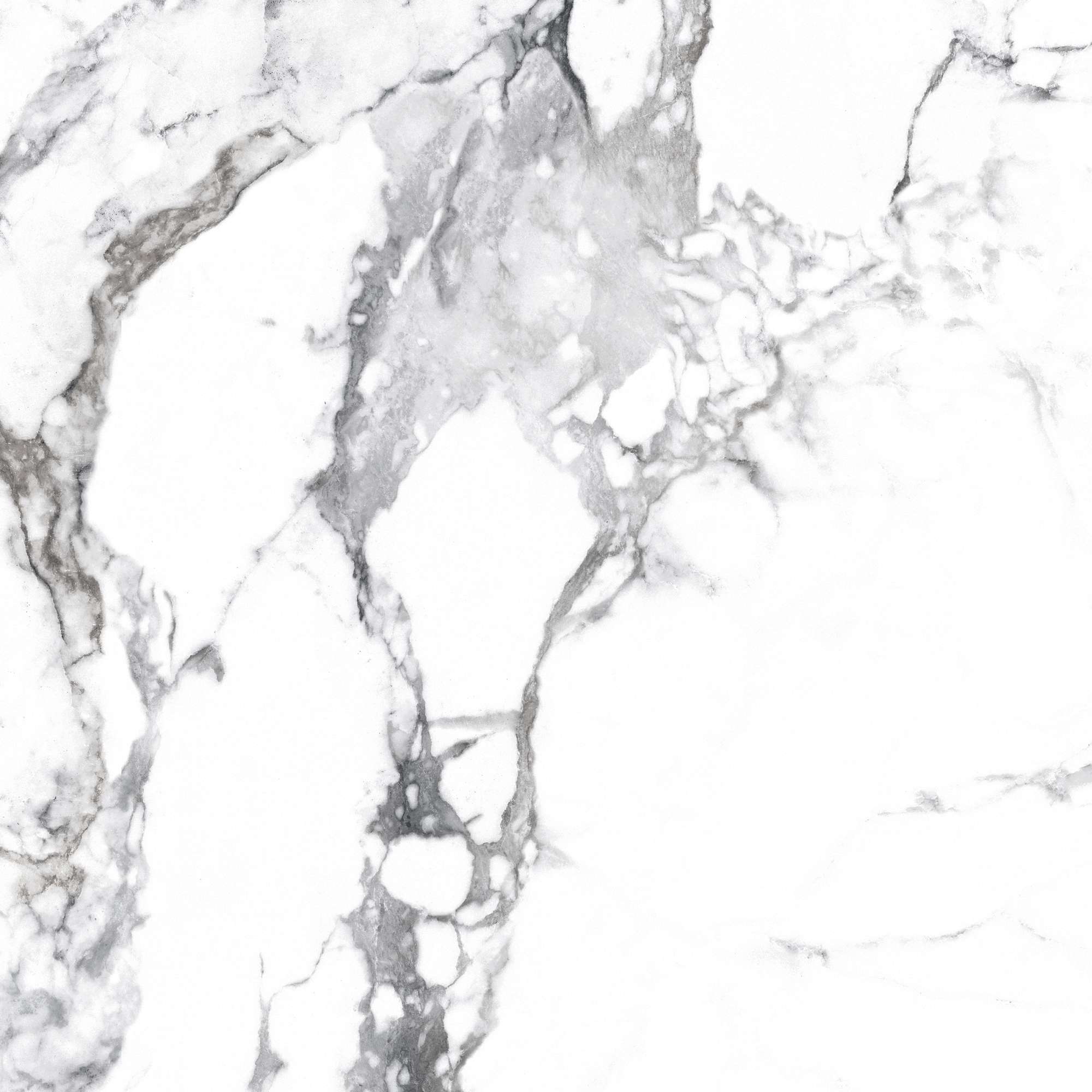 CR4006-A Borghini Silver Carving 60x60 Arcadia Ceramica