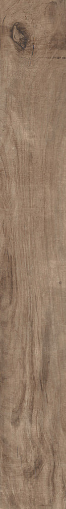 J87749 Aspen Brown 15x100 RHS (Rondine) Ceramiche