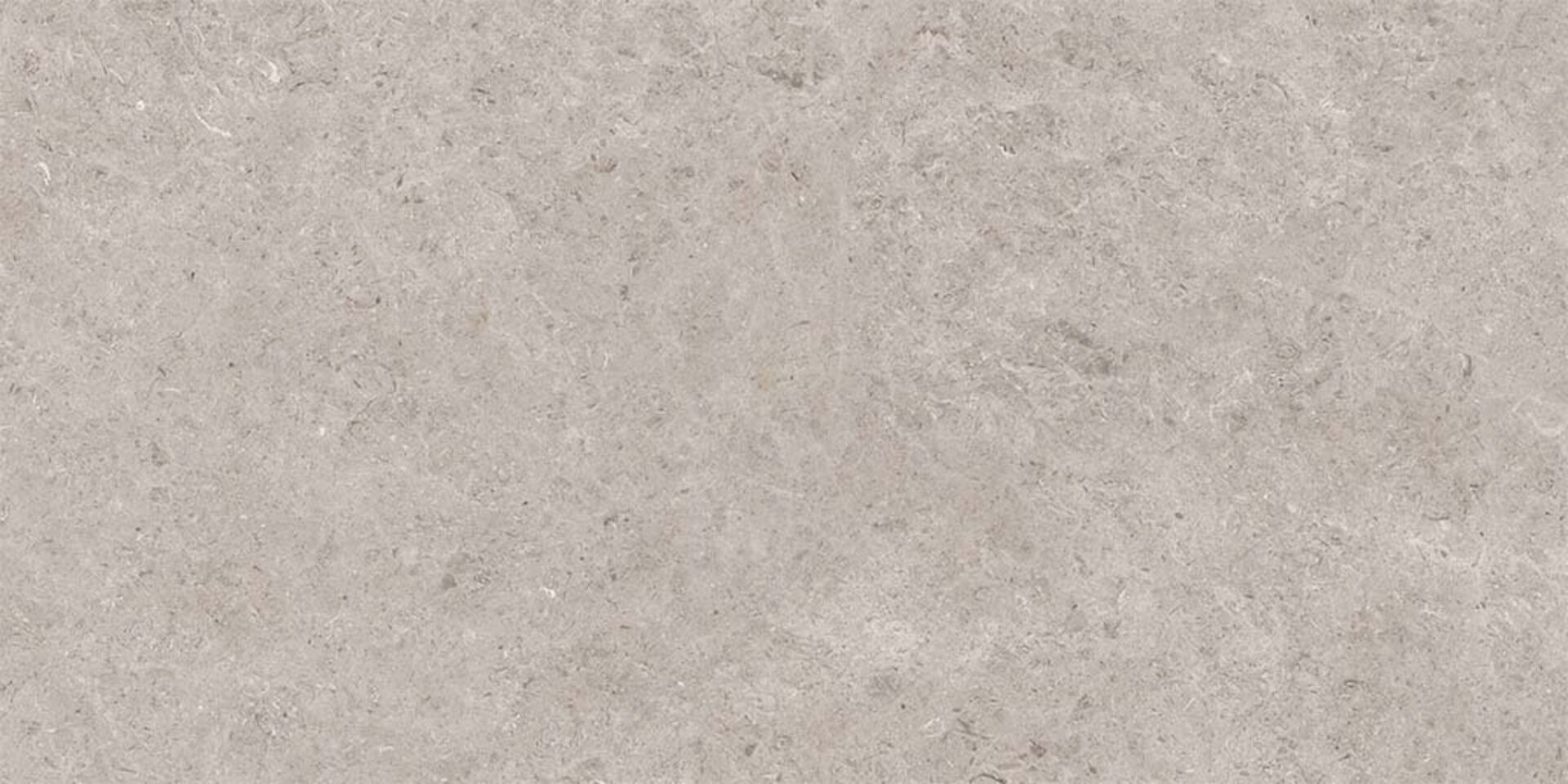 Seashell Natural R10 Carving 60x120 Gravita