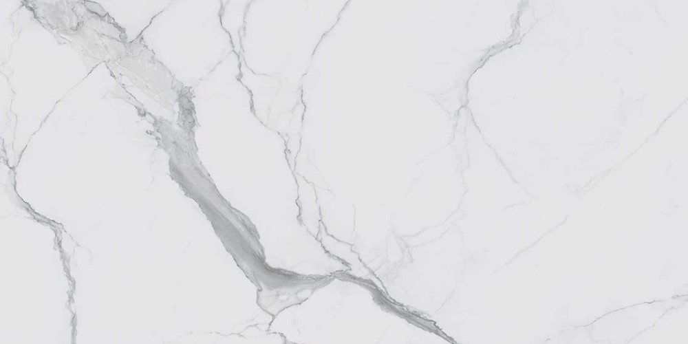 746605 I CLASSICI STATUARIO GLOSSY RET 6mm 120X240 Rex Ceramiche