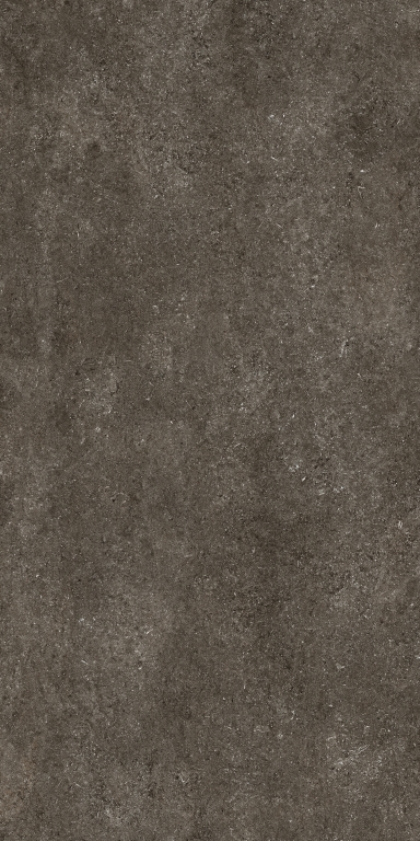 768585 Sensi Brown Fossil Nat Ret 6mm 120x240 Casa Dolce Casa