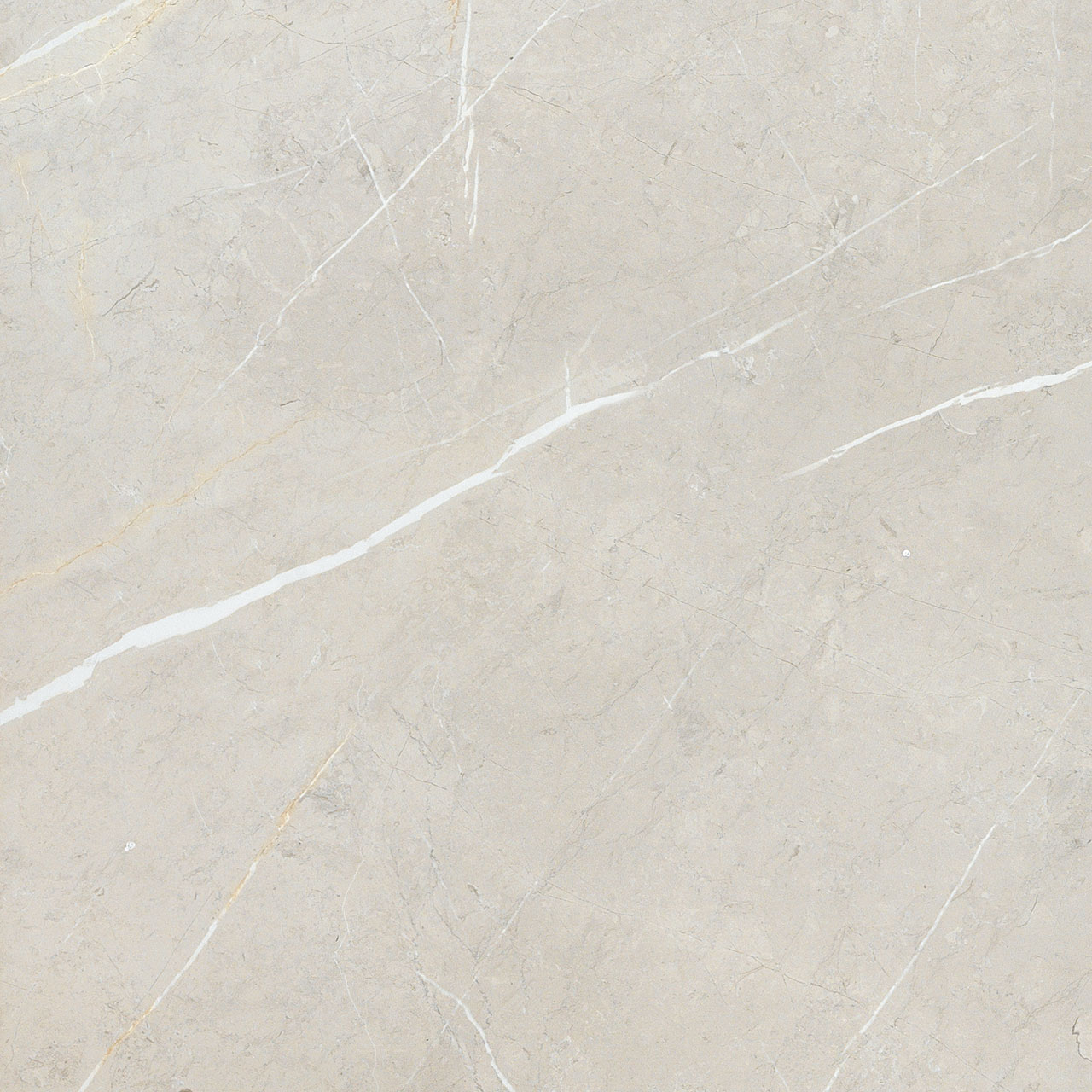 BB6NTT9101P Bright And Shiny 60x60 NT Ceramic