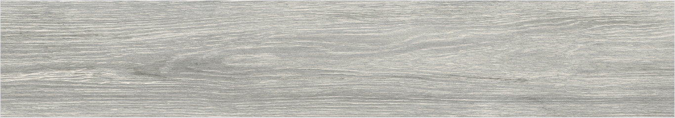 Eleganza Silver Rectificado 20x114 Baldocer