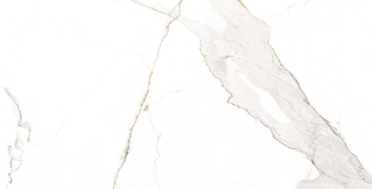Calcatta White Carving Rectificado 60x120 Nice Ceramic