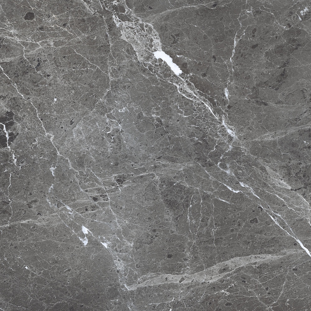 PR108 Ardesia Grafito Polished 600x600 PrimaVera