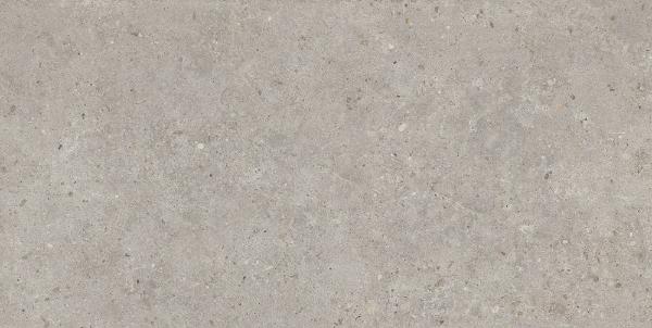 SG519920R Риккарди серый светлый матовый обрезной 60х119,5 Kerama Marazzi