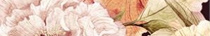 Бордюр Peony 4х25 Laparet
