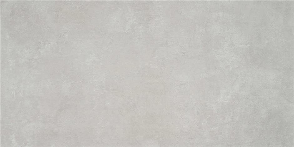 CAN5INDEDD1A Indeed Silver MT 60x120 STN Ceramica