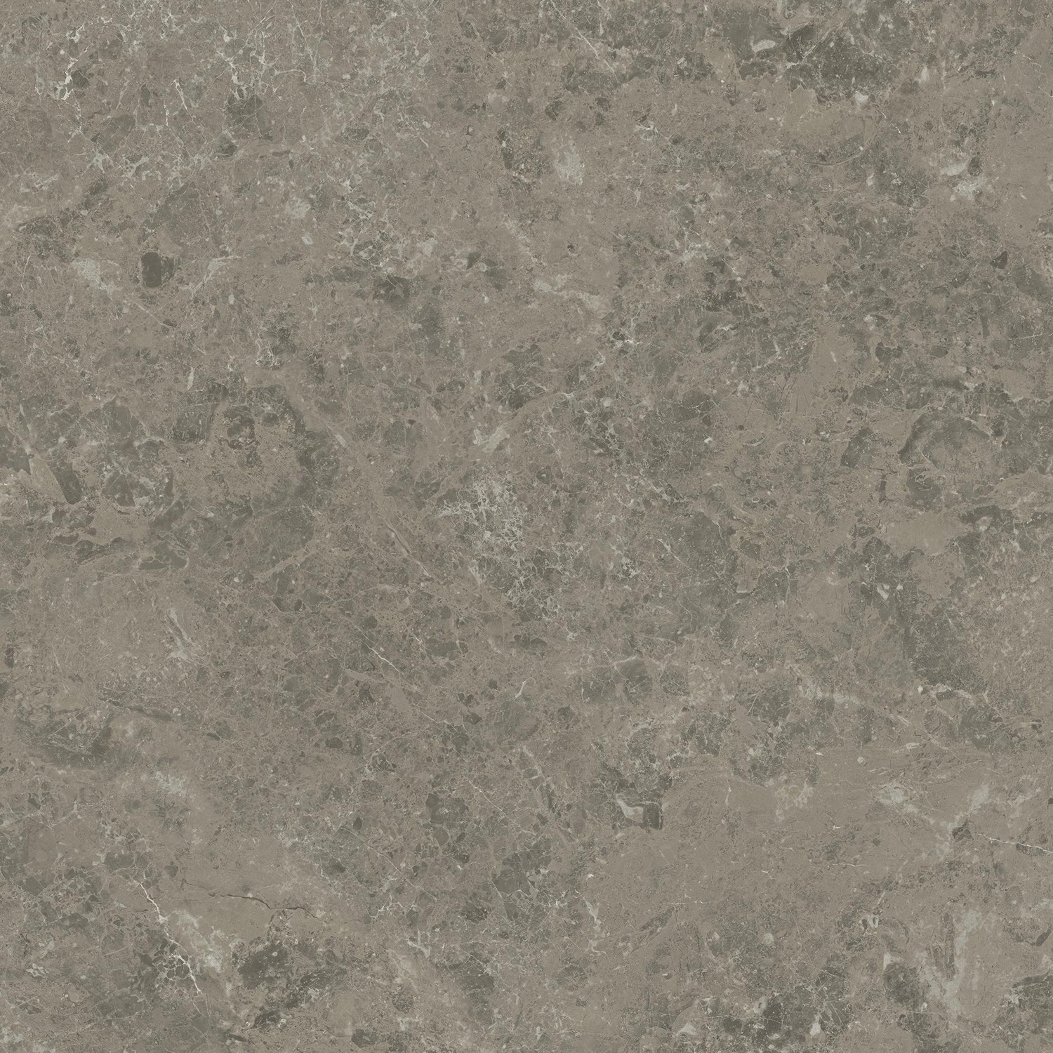 AJI3 Marvel Meraviglia Grigio Elegante Lapp. 75x75 Atlas Concorde