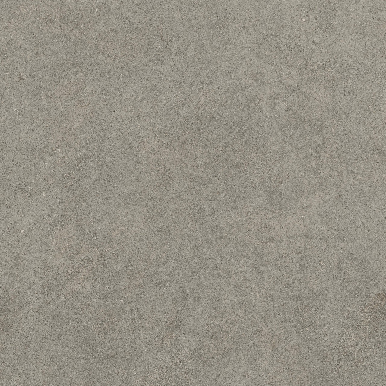 600010002429 Forte dei Marmi Rock Lunar Grey Matt Rett 120x120 Atlas Concorde Russia