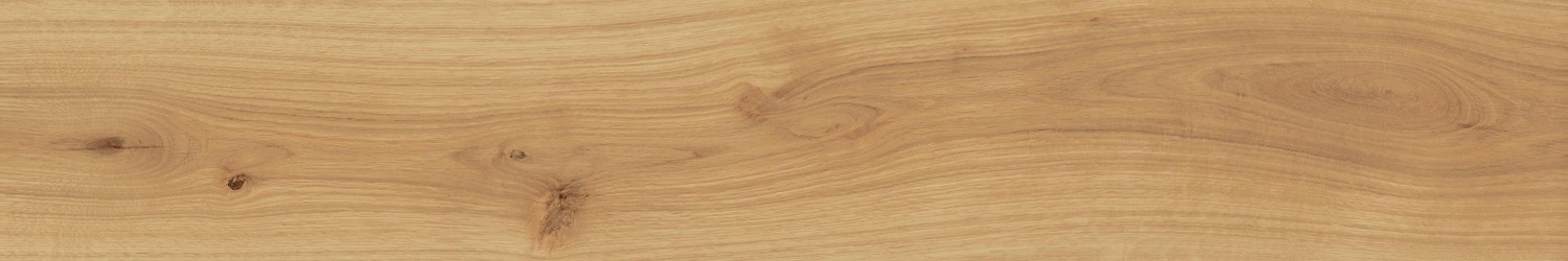 AO48 Exence Almond 20x120 Atlas Concorde