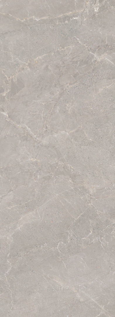 37971 Alchemy Iron SP/R 100х275x0.6 Peronda фото 3