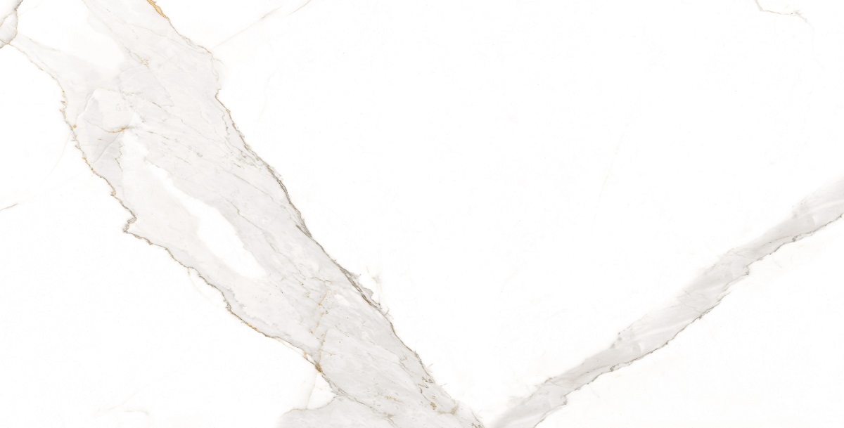 Calcatta White Carving Rectificado 60x120 Nice Ceramic