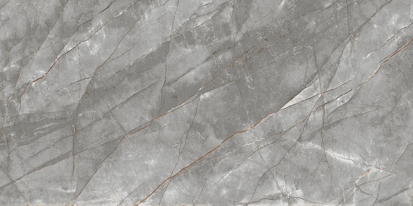 PR237 Vezin Grey Polished 60x120 PrimaVera