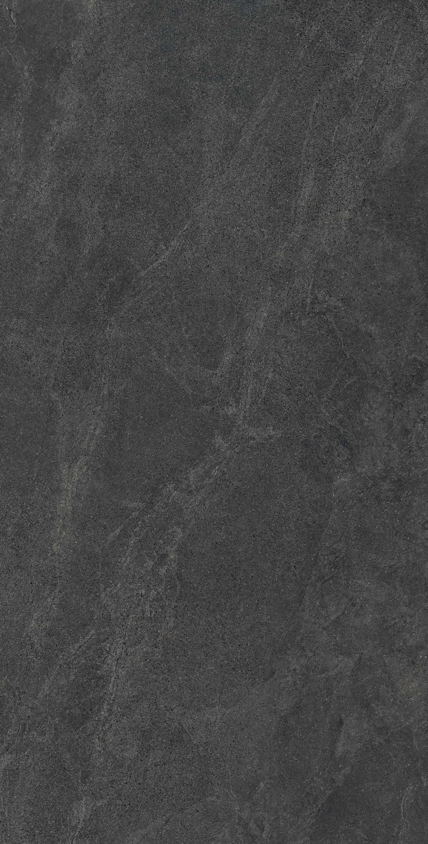 SL1006-A Castello Nero Solido 60x120 Creanza фото 4