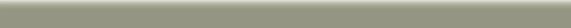 A047542 Quartino Museo Olivine 2x40 Ape Ceramica
