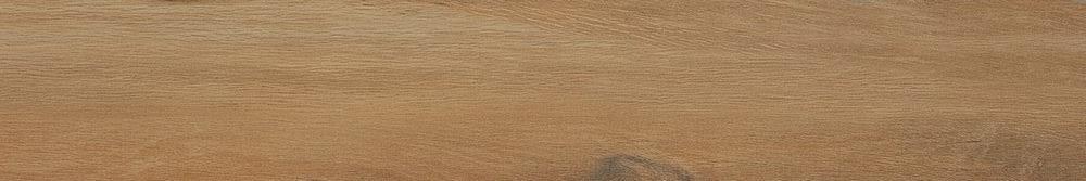 Leccio Oliato Ret 20x120 Serenissima Cir