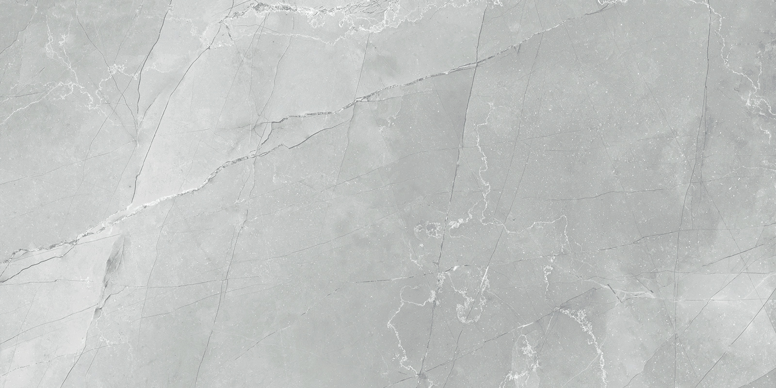 60120AMB15P Armani Marble Gray 60x120 LCM