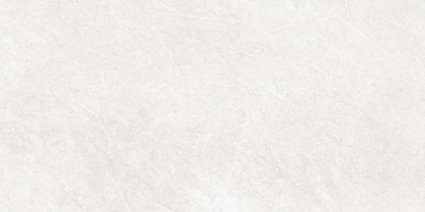 French Silver белый 60x120 Laparet