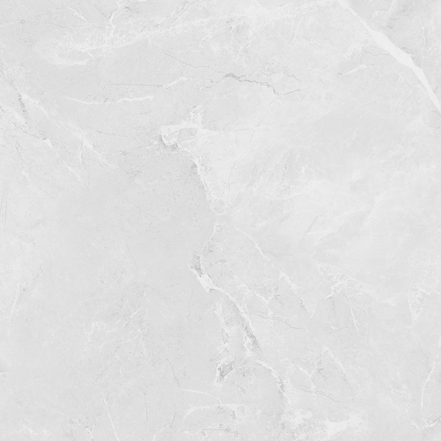 LP6060G0241R Berna Silver светло-серый матовый 59,5х59,5 Laparet