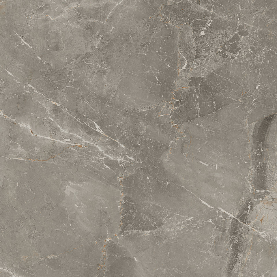 83336 Sybil Silver Rettificato 60x60 Cerdomus фото 3