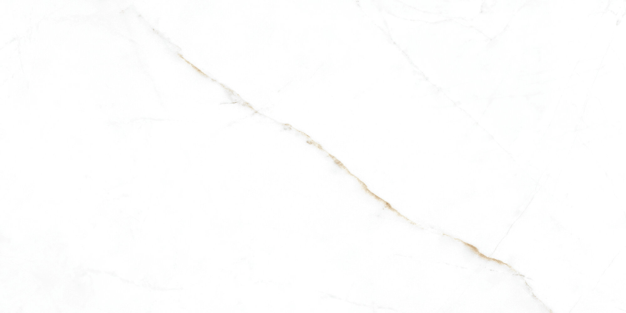 31741 Dual White EP 60x120 Peronda фото 17