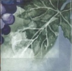 Monocolor Composicion Acuarela Uvas 20х40 Absolut Keramika