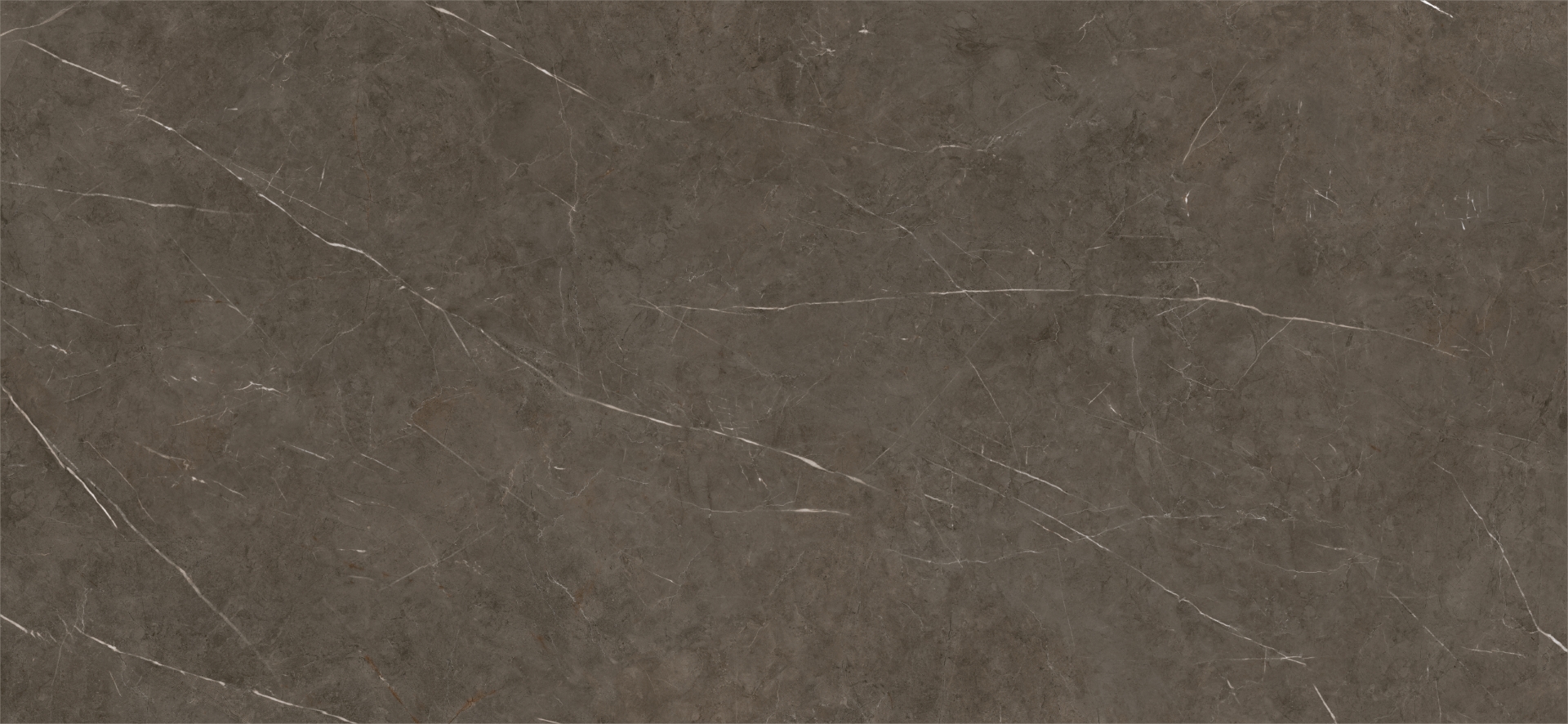 Tessino Bronze Natural 120x260 Benadresa фото 3