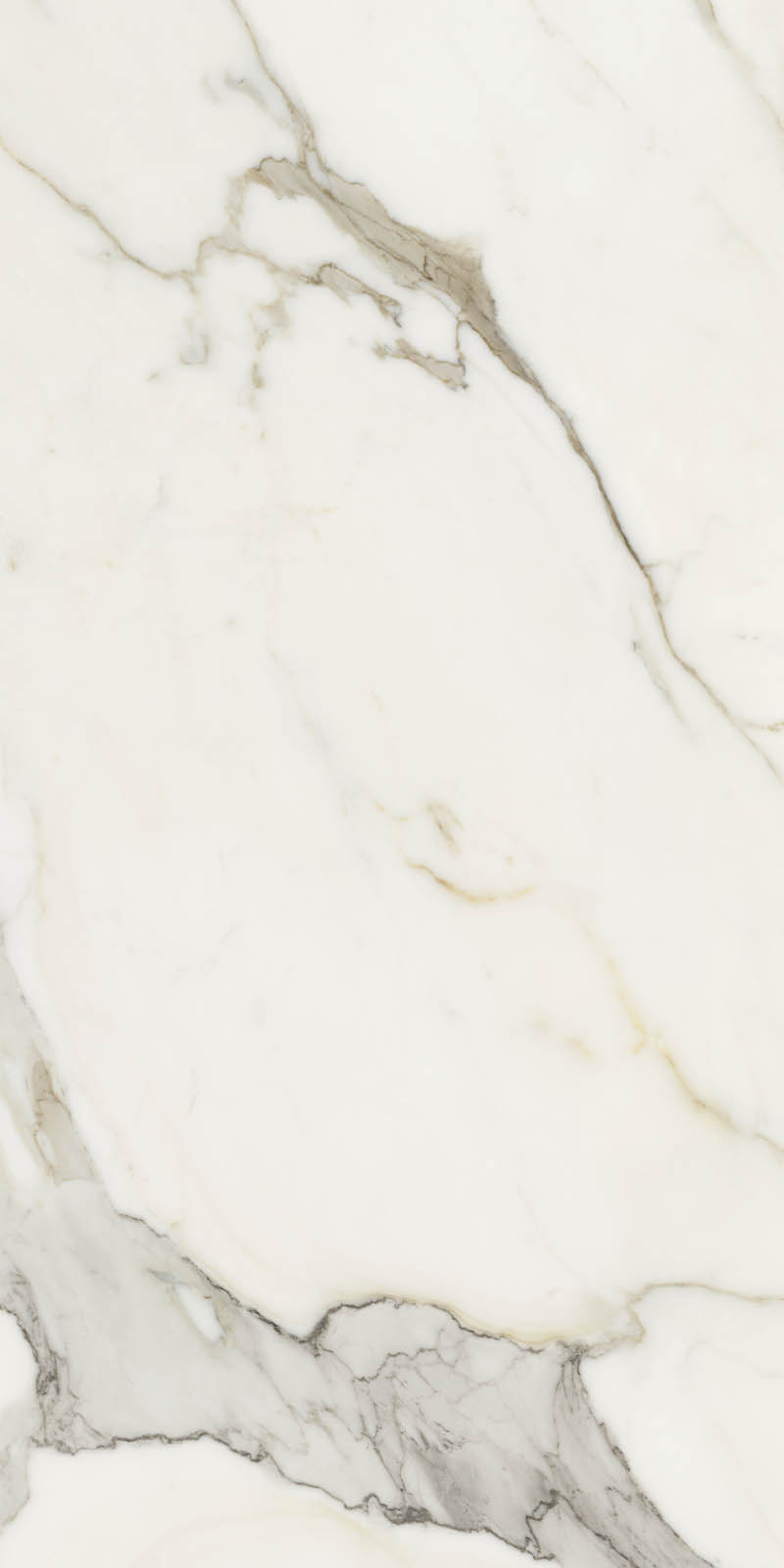 J93272 Canova Calacatta Gold Lap Rett 60x120 RHS (Rondine) Ceramiche