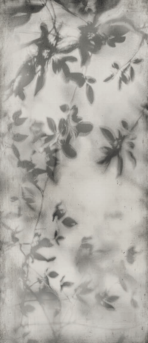 PF60010089 Art Walls Shadow Nat R 120x280 Flaviker