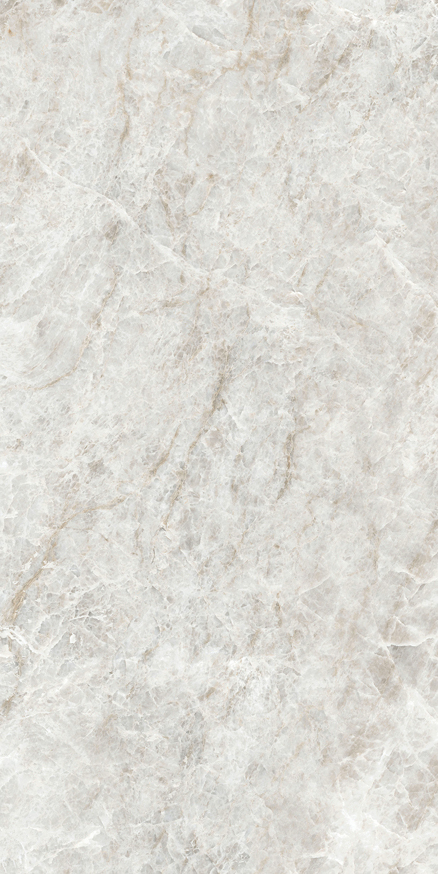 784553 Iconic Life Rice Yamuna Glossy 30x60 Cerim фото 13