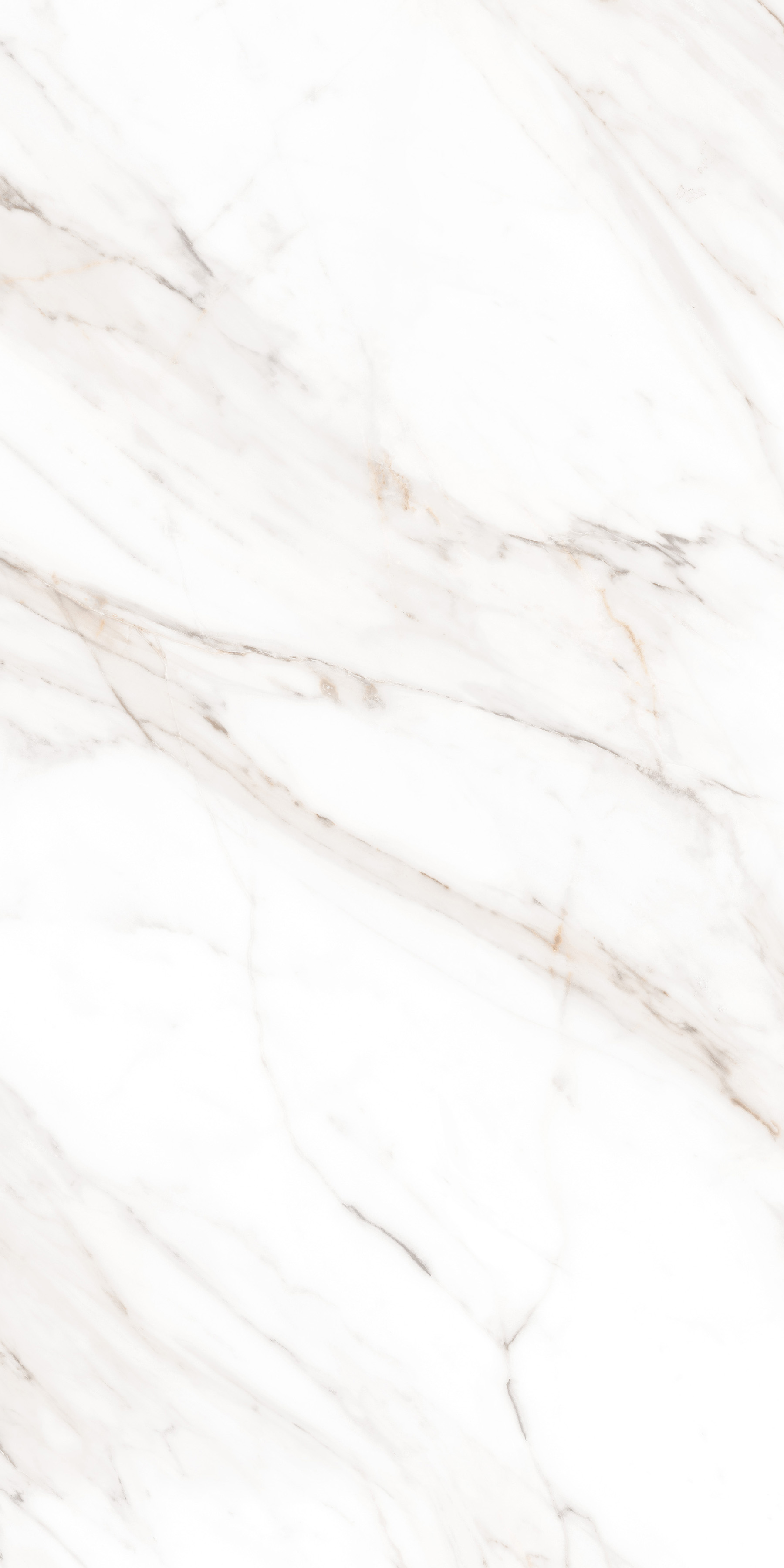 MPL-058631 Calacatta Gold Polished 60x120 Creto