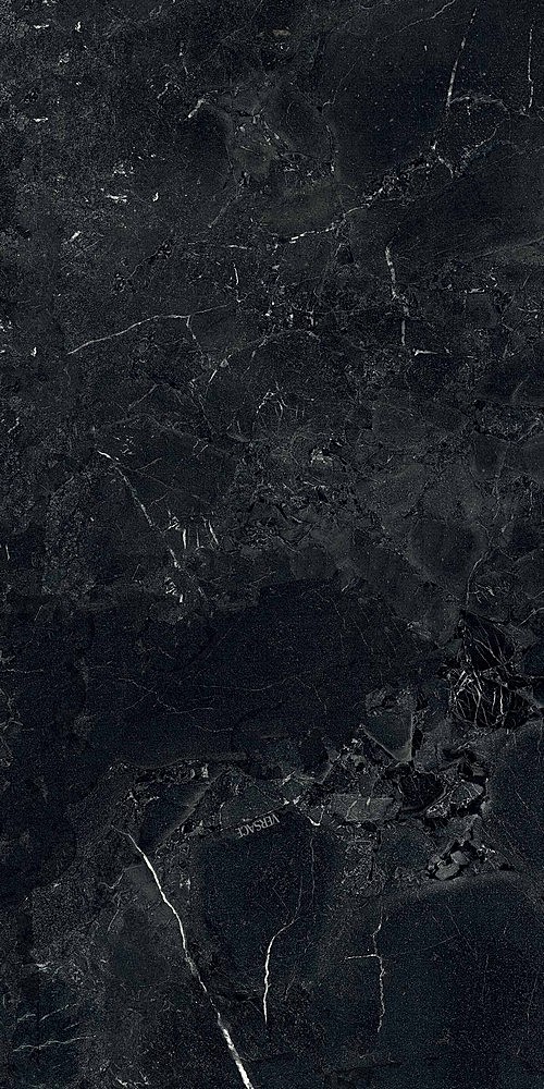 PF60015282 Tarsia Nero Imperiale Lux 3D Rett 60x120 Versace (Gardenia Orchidea)