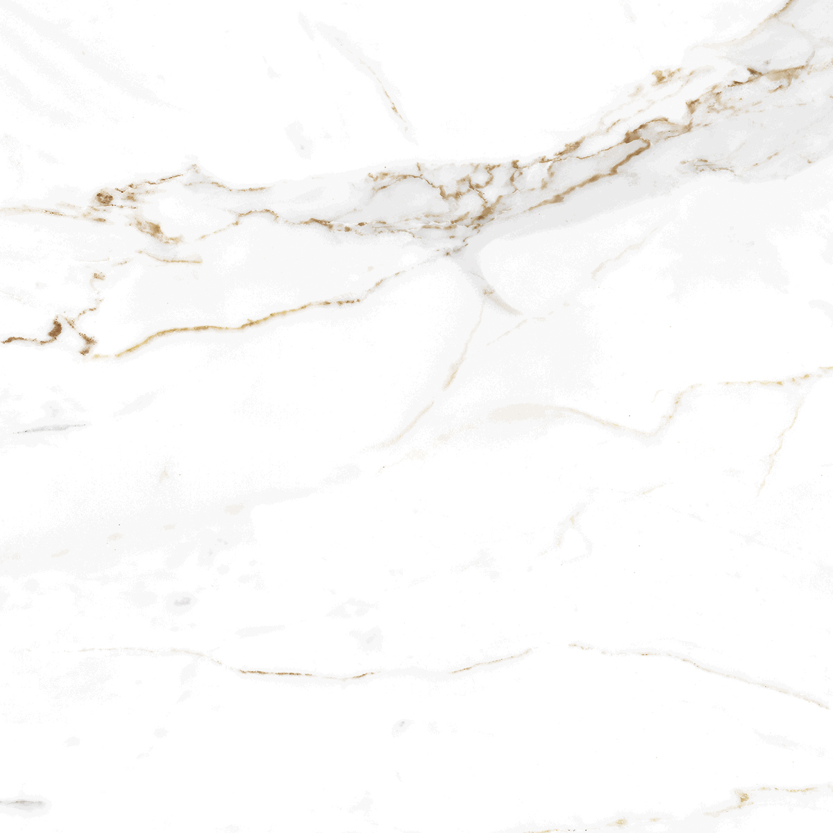 AB1002G Regal Carara gloss 600x600 Absolut Gres