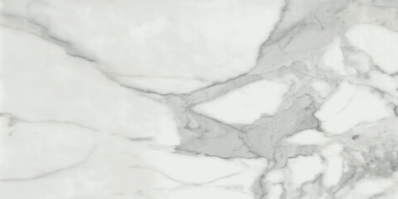 Invictus Natural Rectificado 60x120 Baldocer
