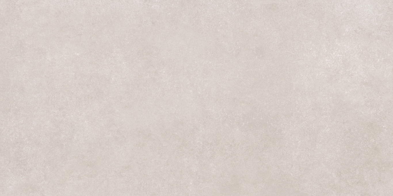 17533 Still светло-серый ректификат 60x120 Meissen