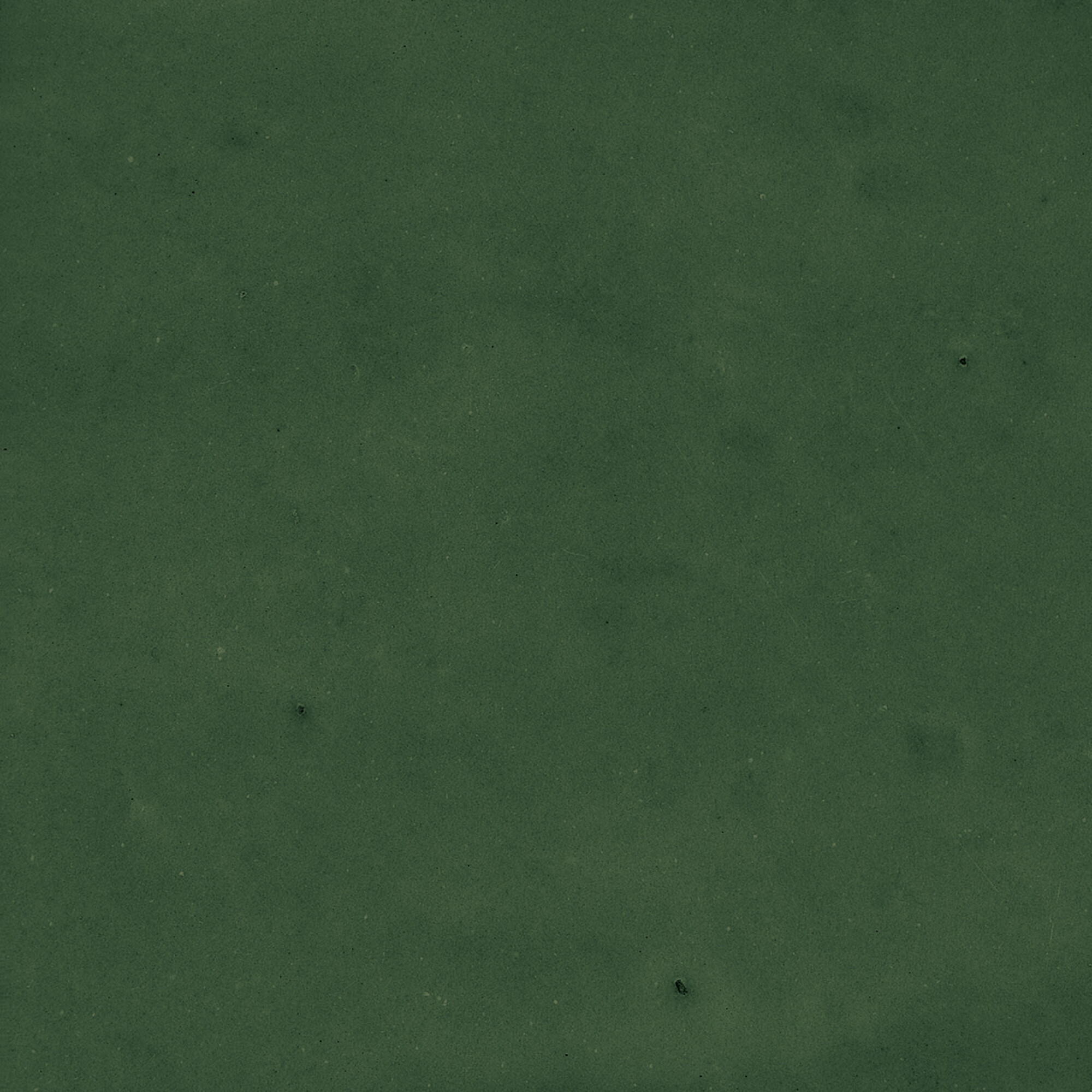 43289 Samira Green 10x10 Harmony фото 8