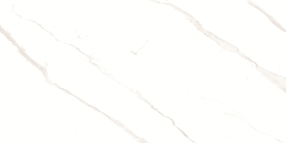 Pushkar White Matt 60x120 Duna