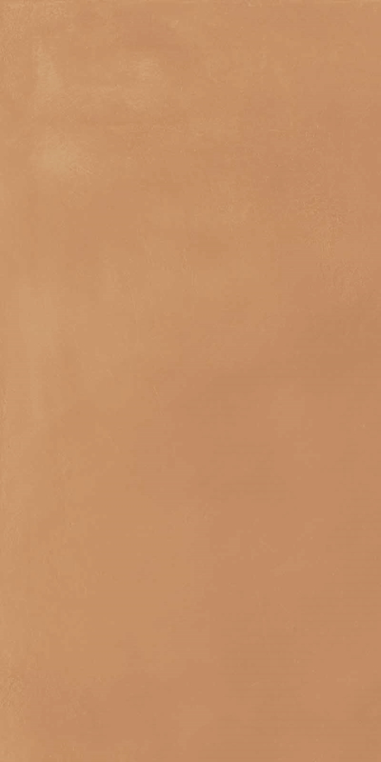 KHD2 CottoMilano Mattone R10 RT Ultramatt 60x120 Keope фото 4