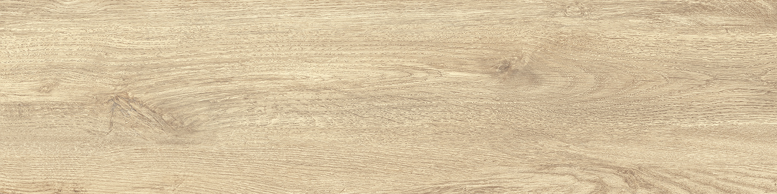 GP1560TAN01 Tanzania Crema матовый 151x602 New Trend